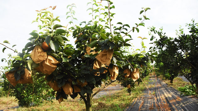 K8·凯发(中国)天生赢家·一触即发